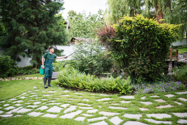 Best Best Pest Control Companies  in Orion, IL