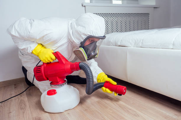 Professional Pest Control in Orion, IL