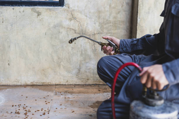 Best Wasp Removal Services  in Orion, IL