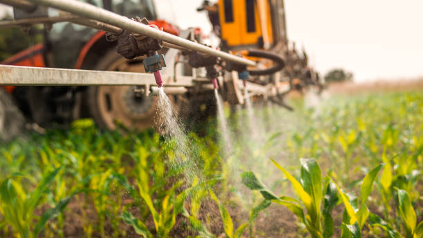Best Local Pest Control Services  in Orion, IL